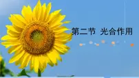 初中生物人教版（2024）七年级下册（2024）第二节 光合作用优质课课件ppt