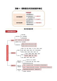 清单01 细胞是生命活动的基本单位（4大必备知识+5大技巧方法+2大命题点）-2025年中考生物一轮复习知识清单