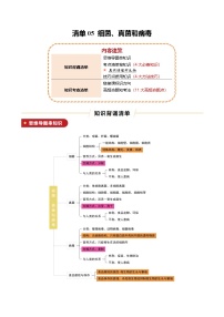 清单05 细菌、真菌和病毒（4大必备知识+4大技巧方法+11大命题点）-2025年中考生物一轮复习知识清单