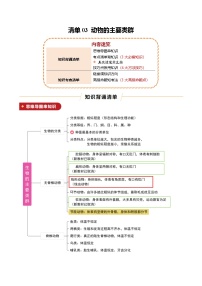 清单03 动物的主要类群（3大必备知识+4大技巧方法+3大命题点）-2025年中考生物一轮复习知识清单