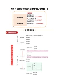 清单09 生物圈有哪些绿色植物+被子植物的一生（6大必备知识+3大技巧方法+11大命题点）-2025年中考生物一轮复习知识清单