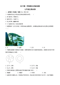 河南省郑州市巩义市2024-2025学年七年级上学期期末生物试题（原卷版+解析版）