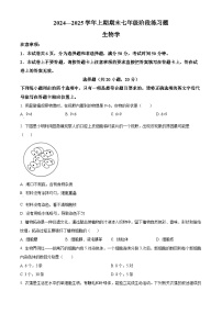 河南省周口市西华县2024-2025学年七年级上学期期末生物试题（原卷版+解析版）