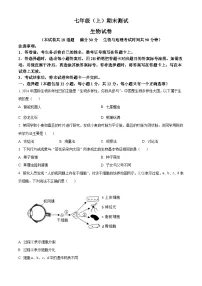 辽宁省大连市高新技术产业园区2024-2025学年七年级上学期期末生物试题（原卷版+解析版）