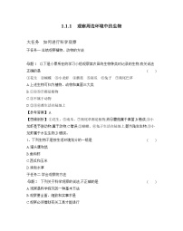 人教版（2024）七年级上册（2024）第一单元 生物和细胞第一章 认识生物第一节 观察周边环境中的生物测试题