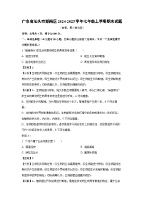 2024~2025学年广东省汕头市潮南区七年级上学期期末生物试卷（解析版）
