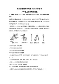2024~2025学年湖北省孝感市汉川市八年级上学期期末生物试卷（解析版）