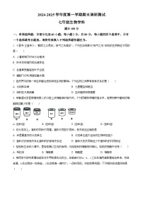 江苏省宿迁市宿城区2024-2025学年七年级上学期期末生物试题（原卷版+解析版）
