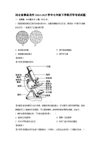 2024~2025学年河北省秦皇岛市七年级下学期开学考试生物试卷（解析版）