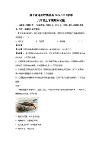 2024~2025学年河北省沧州市吴桥县八年级上学期期末生物试卷（解析版）