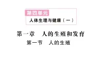 初中生物人教版（2024）七年级下册（2024）第一节 人的生殖作业课件ppt