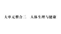 初中生物新人教版七年级下册期末大单元整合二 人体生理与健康作业课件2025春