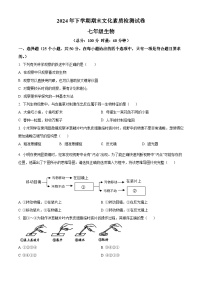 湖南省娄底市娄星区2024-2025学年七年级上学期期末生物试题（原卷版+解析版）