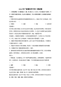 2024年广西柳州市中考一模生物试卷（解析版）