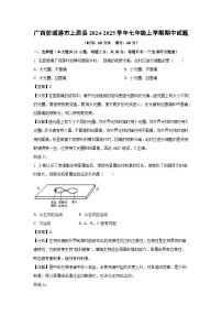 2024~2025学年广西防城港市上思县七年级上学期期中生物试卷（解析版）