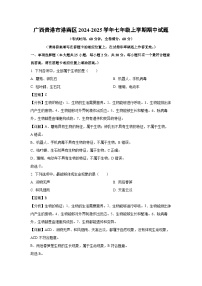 2024~2025学年广西贵港市港南区七年级上学期期中生物试卷（解析版）