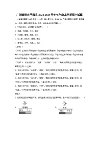 2024~2025学年广西贵港市平南县七年级上学期期中生物试卷（解析版）