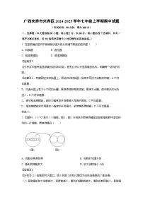 2024~2025学年广西来宾市兴宾区七年级上学期期中生物试卷（解析版）