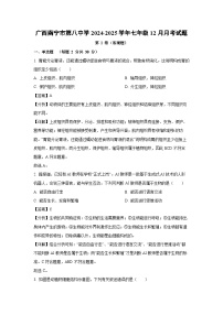 2024~2025学年广西南宁市第八中学七年级上12月月考生物试卷（解析版）