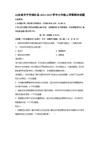 2024~2025学年山东省济宁市泗水县七年级上学期期末生物试卷（解析版）