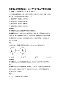 2024~2025学年安徽省合肥市新站区七年级上学期期末生物试卷（解析版）