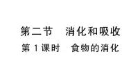 人教版（2024）七年级下册（2024）第二节 消化和吸收作业课件ppt