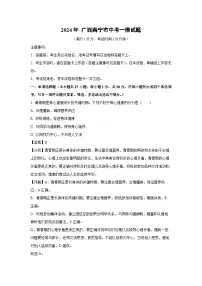 2024年 广西南宁市中考一模生物试卷（解析版）