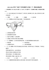 广东省广州市花都区2023-2024学年七年级下学期期末考试生物试卷