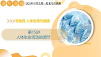 第15讲 人体生命活动的调节 2025年中考生物一轮复习讲练测（山东专用）课件