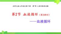 初中生物北师大版（2024）七年级下册（2024）第2节 血液循环图片ppt课件