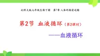 初中生物北师大版（2024）七年级下册（2024）第2节 血液循环图片ppt课件