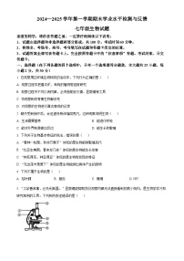 山东省聊城市阳谷县2024--2025学年七年级上学期期末生物试题（原卷版+解析版）