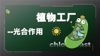 初中生物人教版（2024）七年级下册（2024）第二节 光合作用教课内容课件ppt