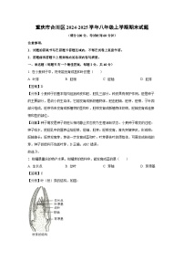2024-2025学年重庆市合川区八年级上学期期末生物试卷（解析版）