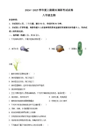 河南省信阳市光山县2024-2025学年八年级上学期期末生物试题（原卷版+解析版）