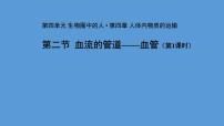 初中生物人教版（2024）七年级下册（2024）第二节 血流的管道 —— 血管评课ppt课件