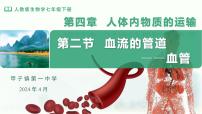 七年级下册（2024）第二节 血流的管道 —— 血管授课ppt课件