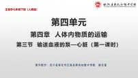 初中生物第三节 输送血液的泵 —— 心脏多媒体教学ppt课件