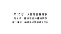 初中北师大版（2024）第1节 神经系统与神经调节作业课件ppt