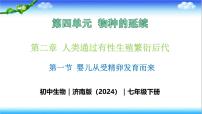 初中生物济南版（2024）七年级下册（2024）第一节 婴儿从受精卵发育而来精品教学课件ppt
