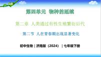 生物七年级下册（2024）第四单元 物种的延续第二章 人类通过有性生殖繁衍后代第二节 人在青春期出现显著变化获奖教学课件ppt