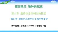 济南版（2024）七年级下册（2024）第四节 遗传信息改变可引起生物变异精品教学课件ppt