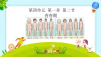 七年级下册（2024）第二节 青春期优秀ppt课件