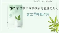 初中生物人教版（2024）七年级下册（2024）呼吸作用优秀课件ppt