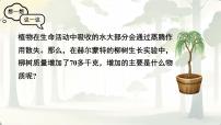 人教版（2024）七年级下册（2024）光合作用优质课ppt课件