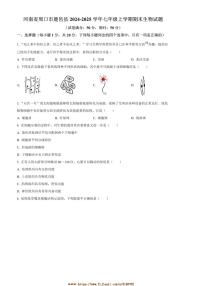 2024～2025学年河南省周口市鹿邑县七年级上期末生物试卷(含答案)