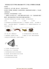 2024～2025学年河南省驻马店市平舆县八年级上期末生物试卷(含答案)