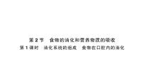 北师大版（2024）七年级下册（2024）食物的消化作业ppt课件