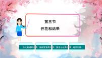 生物人教版（2024）开花和结果优秀ppt课件