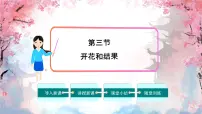 生物人教版（2024）开花和结果优秀ppt课件
